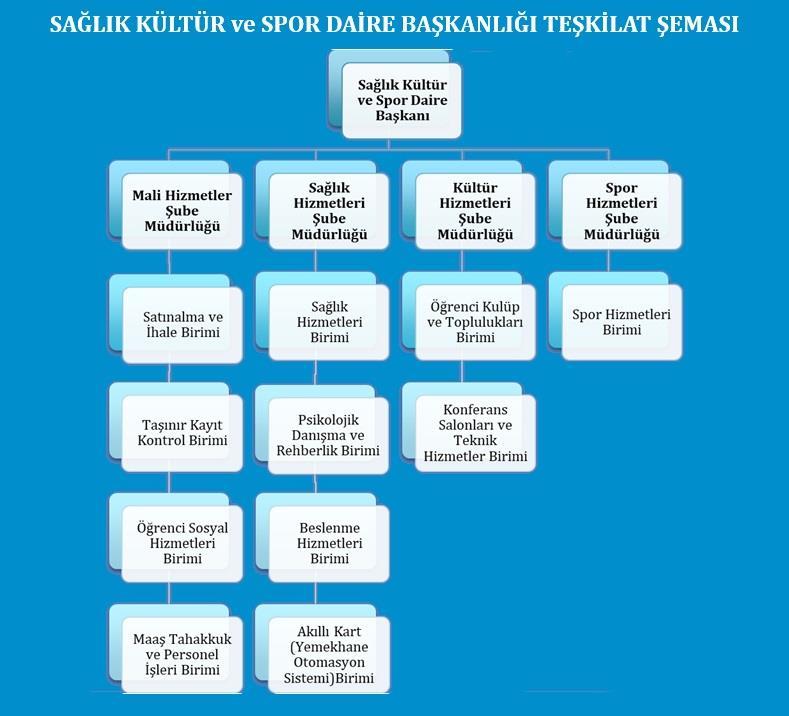 Organizasyon Şeması